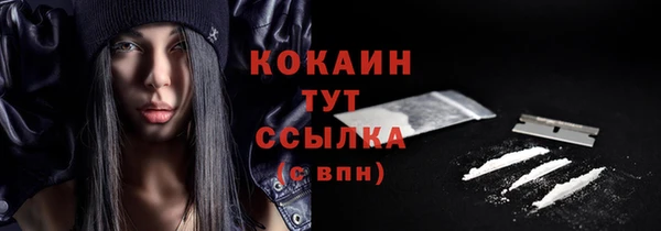 mix Богородицк