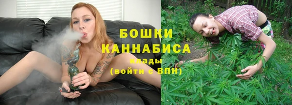 стаф Белокуриха