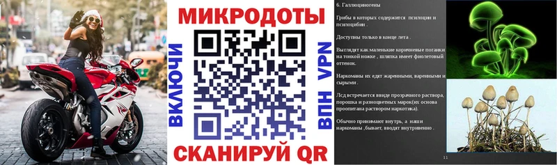 Купить где Славянск-на-Кубани Галлюциногенные грибы прущие грибы